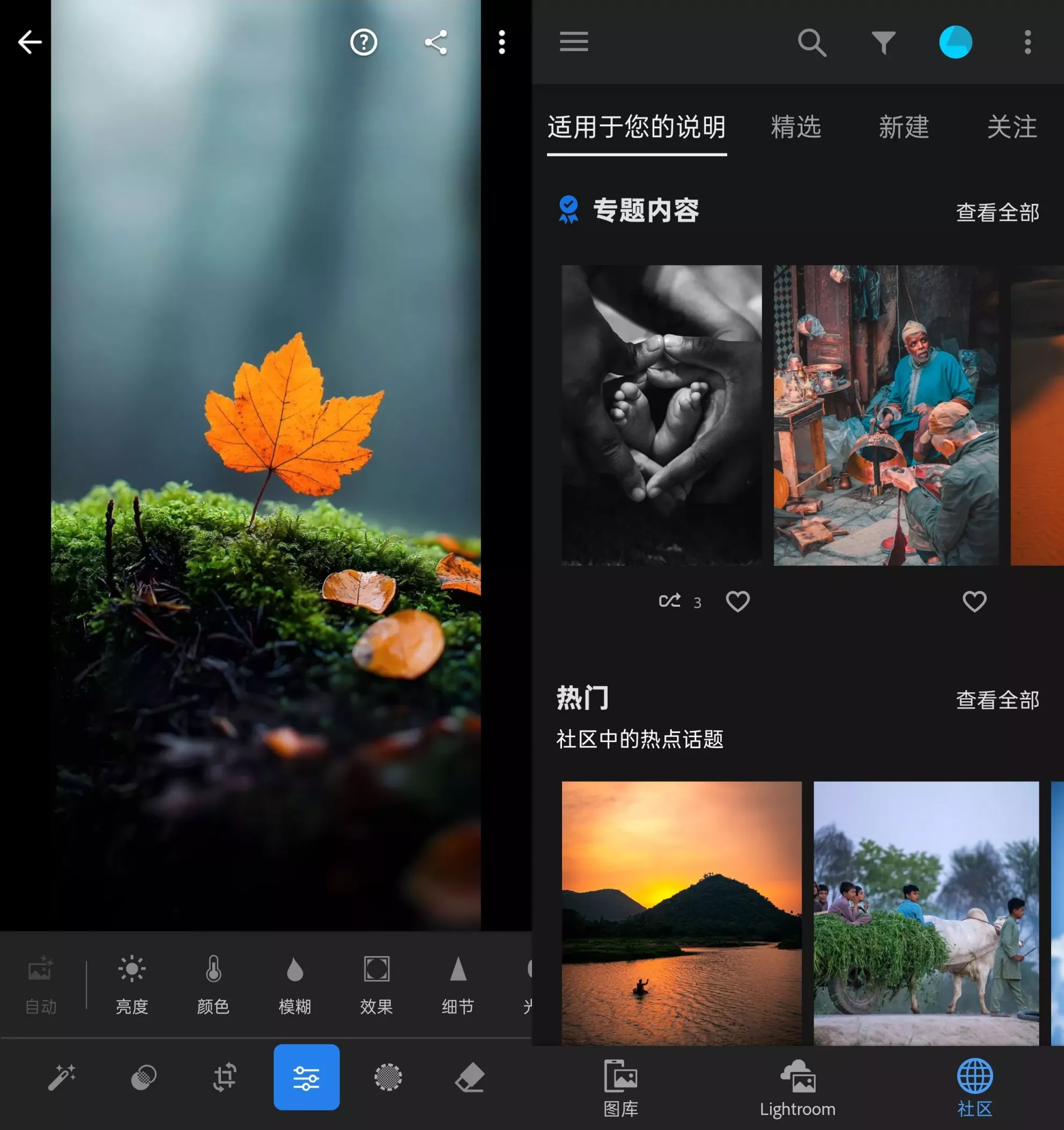 Adobe Lightroom_v11.2.3 解锁高级版APP | 移动端专业调色利器