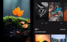 Adobe Lightroom_v11.2.3 解锁高级版APP | 移动端专业调色利器