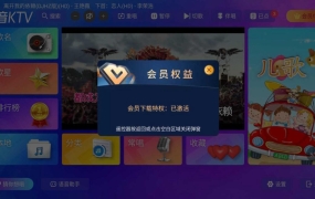 K歌神器:炫音KTV 2.15.63 永久会员激活版，全功能解锁AI修音，50万+正版曲库，在家也能享受专业KTV体验