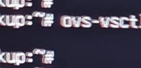 飞牛NAS登录不了网络连接不上只能重置恢复，删除OVS创建的虚拟网桥，初始化网络