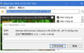 MassTube Ultra YT视频下载工具 v21.6.0.205 多语便携版【亲测能下】