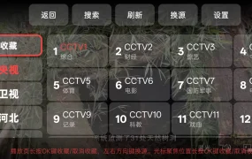 开源电视直播神器：DongYuTVWeb冬雨电视直播app 官方直播源稳定快速