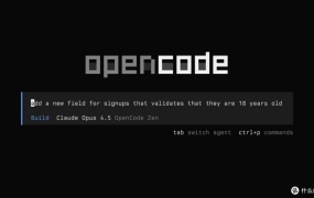 免费白嫖token NAS上安装OpenCode AI工作流神器 自动化管理你的NAS