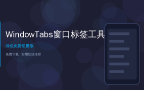 WindowTabs教程——给Windows所有软件窗口加上浏览器标签，效率翻倍