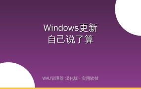 受够了Windows强制更新？这个神器让你彻底掌控更新自由！