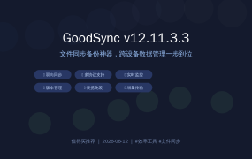办公必备！GoodSync 文件同步神器 v12.11.3.3 便携版，跨设备备份从未如此简单