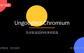 不想被谷歌追踪？Ungoogled-Chromium纯净浏览器，Chrome内核无广告无跟踪