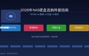 2026年NAS硬盘选购终极指南：HC550 vs 酷狼 vs 红盘 vs 银河，5款企业级/NAS盘实测对比，值友看完不踩坑