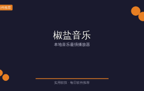 Salt Player(椒盐音乐) v12.1.0 — 纯净无广告的本地音乐神器