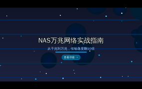 🔌 NAS万兆网络实战指南：从千兆到万兆，传输速度翻10倍的完整升级方案