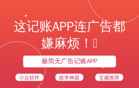 这记账APP连广告都嫌麻烦！🔥