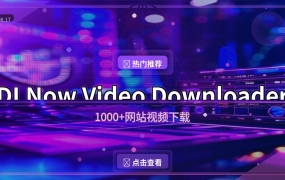 1000+网站视频随便下：DLNow Video Downloader使用教程