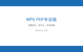 WPS PDF专业版(PDF文件阅读器) v12.8.0.23123 精简安装版