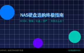 NAS硬盘选购终极指南：HC550/酷狼/红盘/国产，到底怎么选？