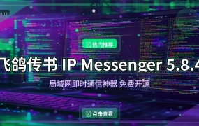 局域网传文件还在用微信？这款老牌神器飞鸽传书，速度快到飞起（2026-08-13）