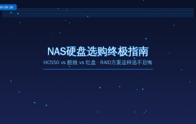2026年NAS硬盘选购终极指南：HC550 vs 酷狼 vs 红盘，RAID方案这样选不后悔（2026-08-28）