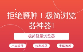 拒绝臃肿！极简浏览器神器✨