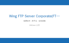 Wing FTP Server Corporate(FTP服务器软件) v8.2.3 中文企业版