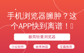 手机浏览器臃肿？这个APP快到离谱！🚀
