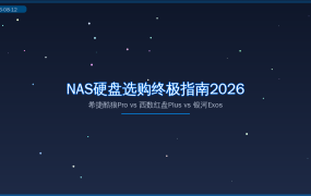 NAS硬盘选购终极指南2026：希捷酷狼Pro vs 西数红盘Plus vs 银河Exos，值友别再选错了！