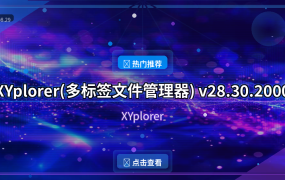 XYplorer(多标签文件管理器) v28.30.2000 64-bit 多语便携版