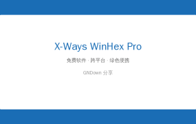 X-Ways WinHex Pro v21.8 – 专业级十六进制编辑与数据恢复神器