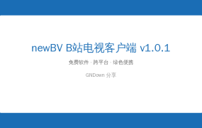 newBV：大屏追B站的正确打开方式