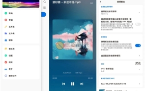 椒盐音乐 Salt Player v12.3.2 安卓版纯净版无广告无限制