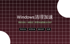 Wise Care 365 PRO：Windows系统优化一键搞定，清理加速隐私全保护