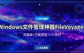 Windows文件管理神器FileVoyager：双面板+万能预览一个顶仨