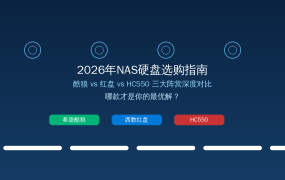 2026年NAS硬盘选购指南：酷狼、红盘、HC550，值友的最优解在这！