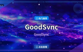 GoodSync