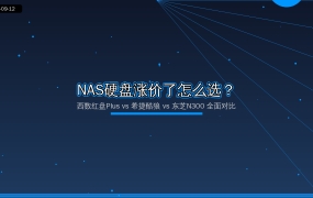 硬盘涨价潮下NAS硬盘到底怎么选？西数红盘Plus/希捷酷狼/东芝N300深度对比