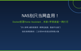 NAS别只当网盘用！Docker三步部署Home Assistant：米家+苹果家庭一网打尽，值友照着抄就行