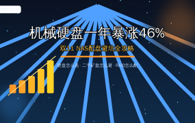 机械硬盘一年暴涨46%！双11 NAS配盘别乱买：硬盘怎么选、二手盘怎么避坑、RAID怎么配，值友照着买不踩坑