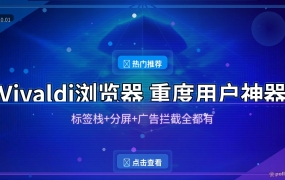 浏览器用腻了Chrome？Vivaldi这波定制化直接封神