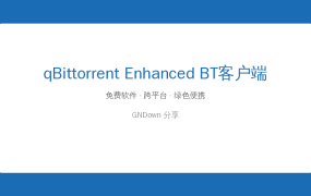 qBittorrent Enhanced Edition(BT客户端) v5.2.4.10 多语便携版
