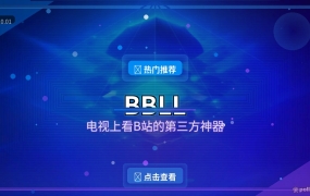 BBLL：电视上看B站的第三方神器，比官方TV版好用十倍