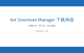 浏览器下载太慢还爱断？Ant Download Manager多线程+断点续传，大文件下载稳如老狗