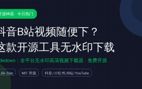 抖音B站视频想下载？Videdown开源工具无水印下载全平台视频，粘贴链接就能下（保姆级教程）
