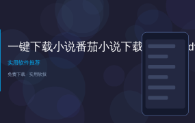 小说存不下来？这个6.9M小工具，书名一贴导出TXT/EPUB